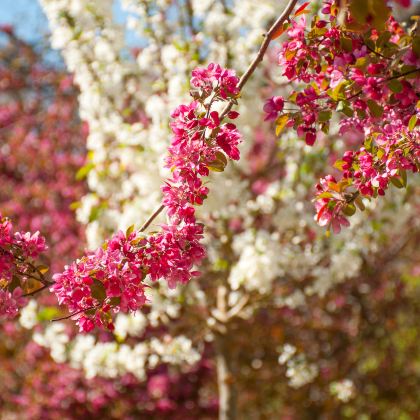 西班牙马德里+巴塞罗那+葡萄牙里斯本4日3晚拼小团