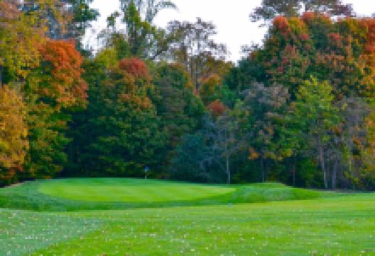 The Bucks Club景点图片