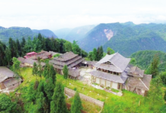 灵鹫山景点图片