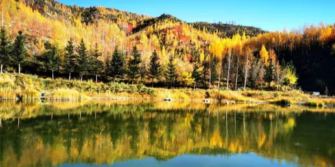 將軍山森林公園