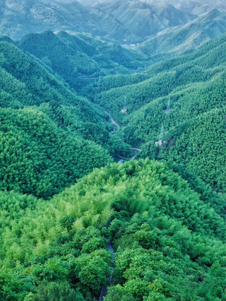 宁波小众自驾目的地，水墨诗意般的烟雨江南，每一个都仙得不像话