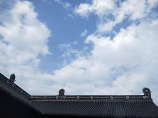 海天佛国——舟山踏浪随心记(附海鲜酒店推荐)