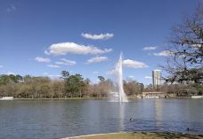 赫曼公园-休斯敦-小小呆60