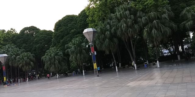 百色人民公园旅行图片 5