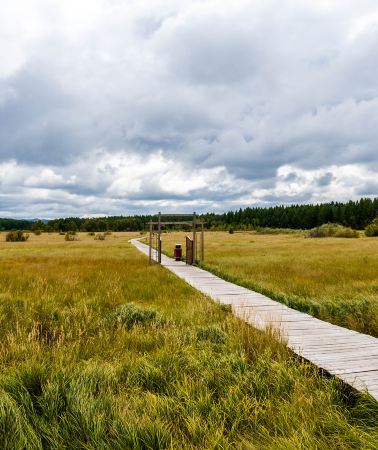 3D2N • China + Inner Mongolia + Chifeng + Ulan Butung Grasslands + Mulan Paddock