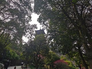 揭开根雕根宫佛国神秘的面纱