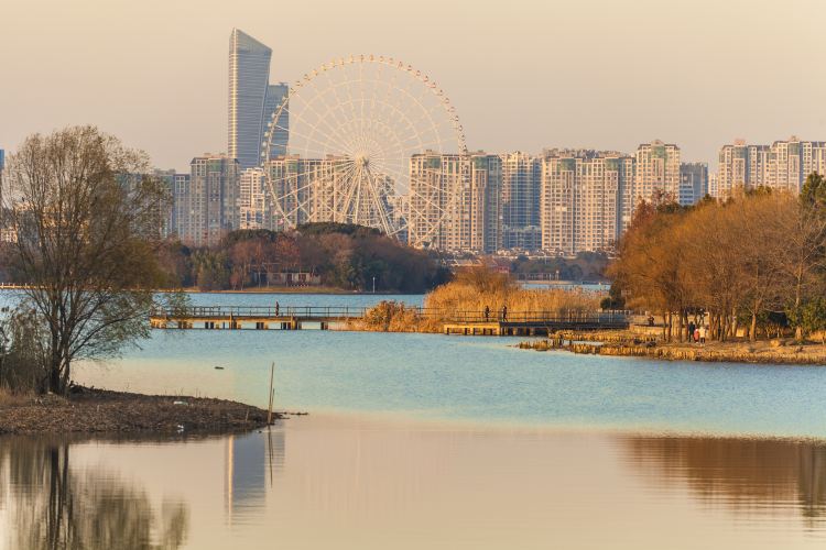 杏花公园
