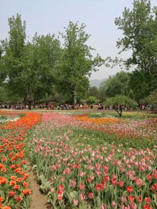 国家植物园(原北京植物园)-北京-老少皆宜程