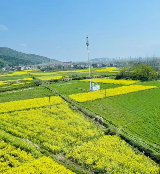 石潭村旅行图片 1