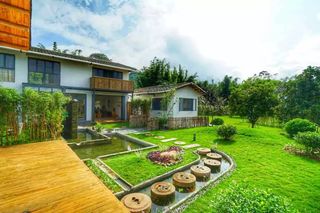 藏在惠州龙门深山里的网红精品民宿,每一个角度都是网红摆拍背景丨爱树山居