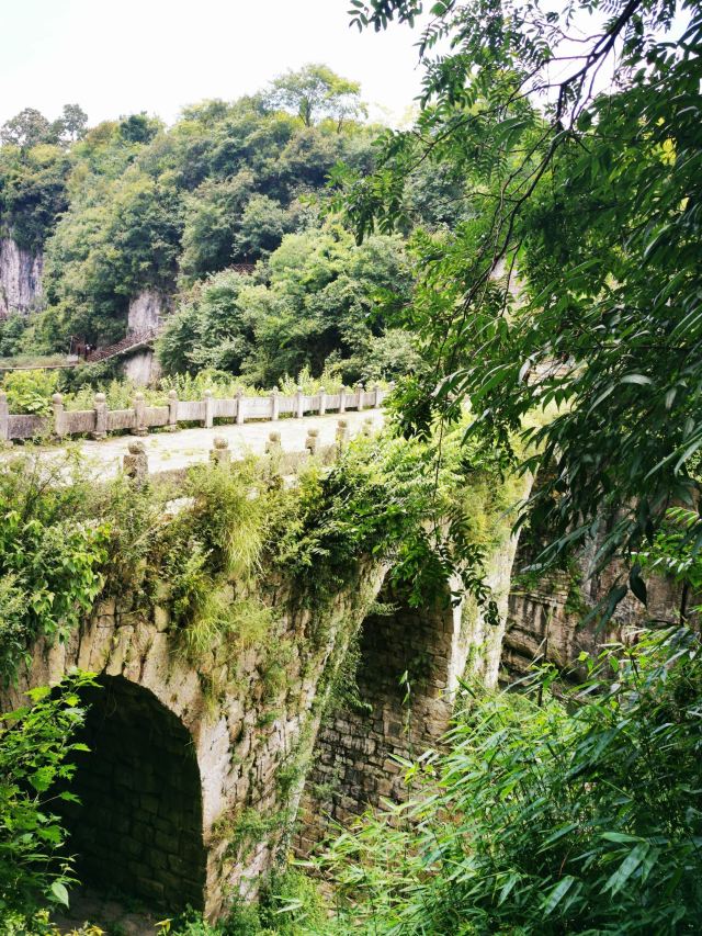 洒金公园旅行图片 1