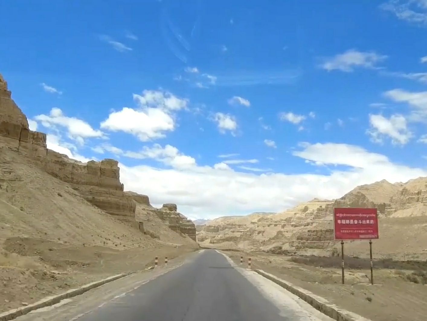 Tibet Ali Zanda soil forest