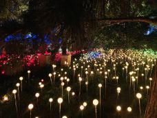 国家体育馆-北京-老鹰在飞翔