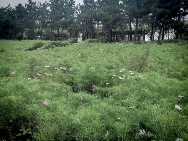 航天城中湖公园旅行图片 2