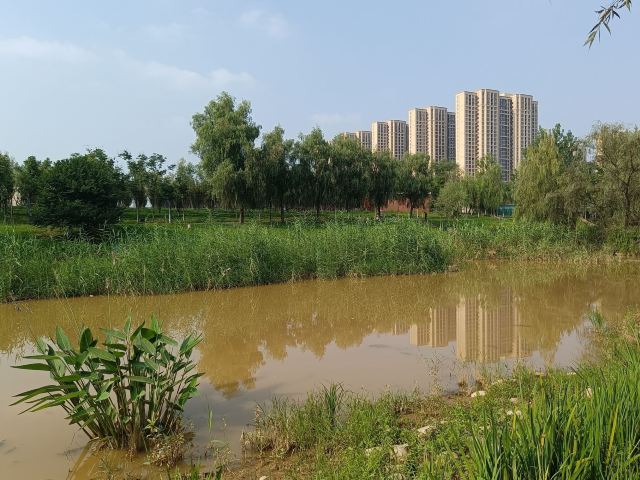 长安城市公园(樊川公园)旅行图片 1