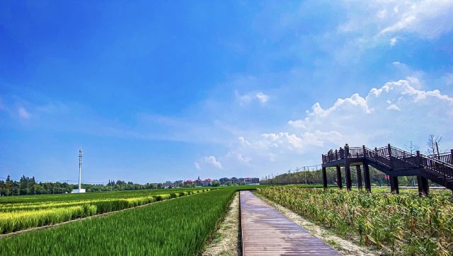 合庆郊野公园旅行图片 5