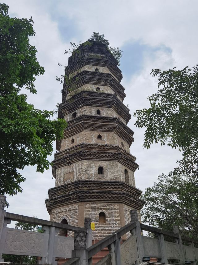 南塔公园旅行图片 2