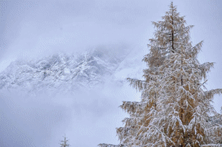 初冬限定！雪后的阿坝州太太太美了！