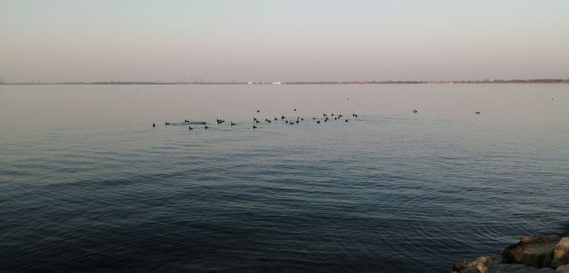 滴水湖旅行图片 6