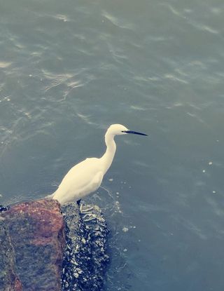 被誉为“海上花园”的厦门，有哪些值得一转的地方？