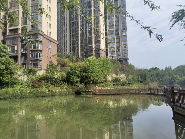 南岭植物园旅行图片 2
