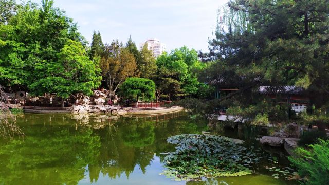 宣武艺园旅行图片 12