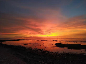 临高游记图文-你体会过不一样的赶海吗？