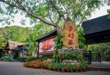 呀诺达雨林文化旅游区-梦幻谷景点图片