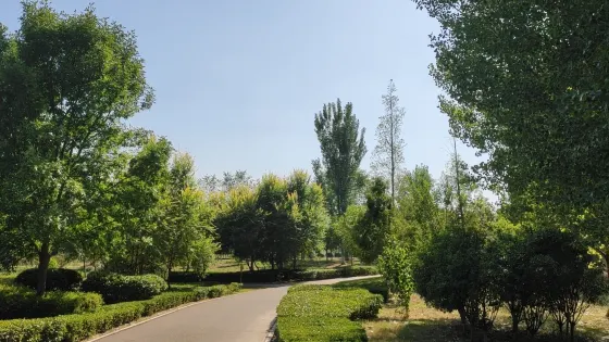 金堤河國家濕地公園
