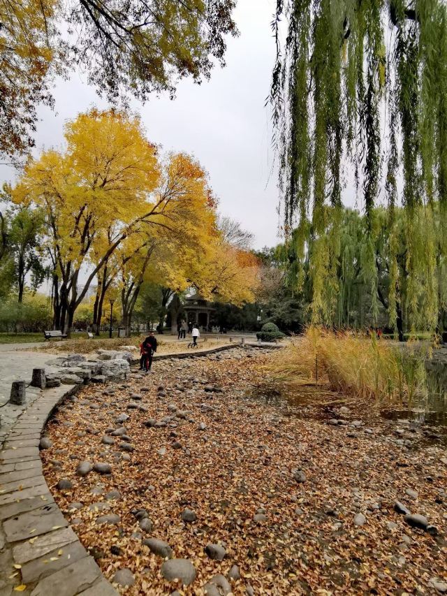 玲珑公园旅行图片 4