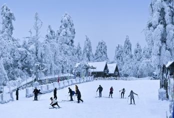 峨眉山金顶+乐山大佛一日游【[产品亮点]无购物+纯旅游+一天畅游[峨眉山金顶+乐山大佛]舒适体验】