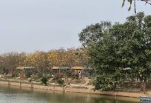 仙眷花洲花海公园景点图片