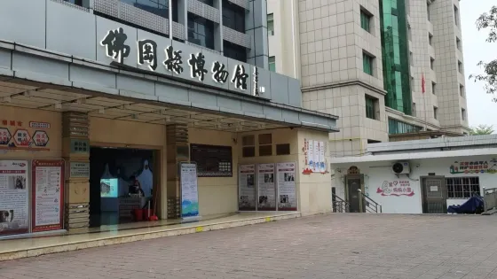佛岡博物館