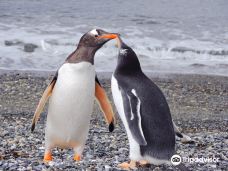 Isla Martillo-乌斯怀亚