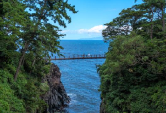 门胁吊桥景点图片