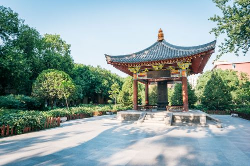 西北大学博物馆