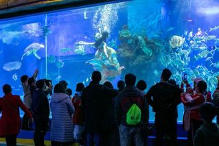 端午双重福利!昆明呈贡网红亲子乐园“粽”情游,现场惊喜不断