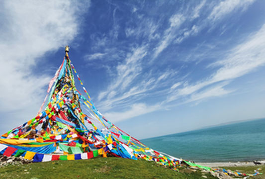 飘落青海的那颗眼泪