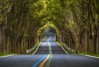 2人起私家团茅山得撒石磨豆腐村一日游南京镇江扬州常州上门接送【所选城市市区免费上门接送，方便快捷，省时省力（时间可微调）】