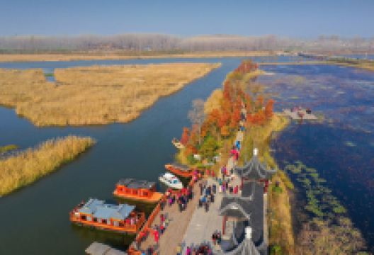 房湾湿地公园景点图片