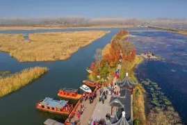 1-Day Suining Tour: Explore Yaowan Ancient Town's historical charm and Fangwan Wetland's natural beauty