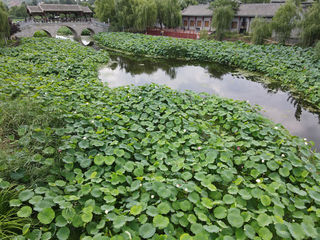 小众旅游景点~丹凤棣花古镇-凤冠山