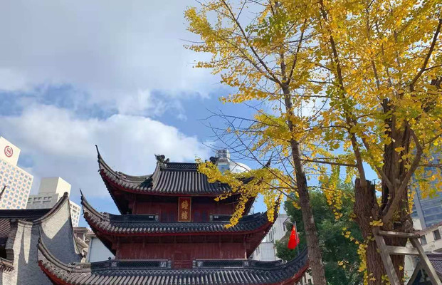 宁波赏秋攻略,趁深秋未暮,来秋日童话中的森林拍下绝美合照