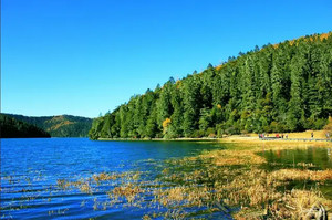 普达措森林公园游记图文-普达措，一个一生一定要去一次没有污染的童话世界