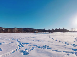 漠河旅游攻略|由中国最南跨越到最北,三亚到漠河的攻略分享