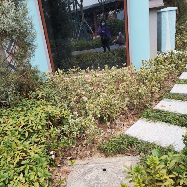 岭南公园旅行图片 3
