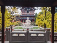 毗卢寺-南京-魔女锦鲤