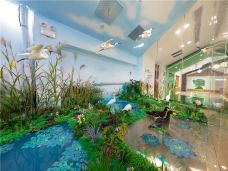 苏州中国花卉植物园-苏州-C-IMAGE