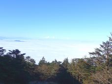 雷洞坪-峨眉山-Gustin31