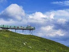 百里天路-丰宁-黑牡丹-旅行